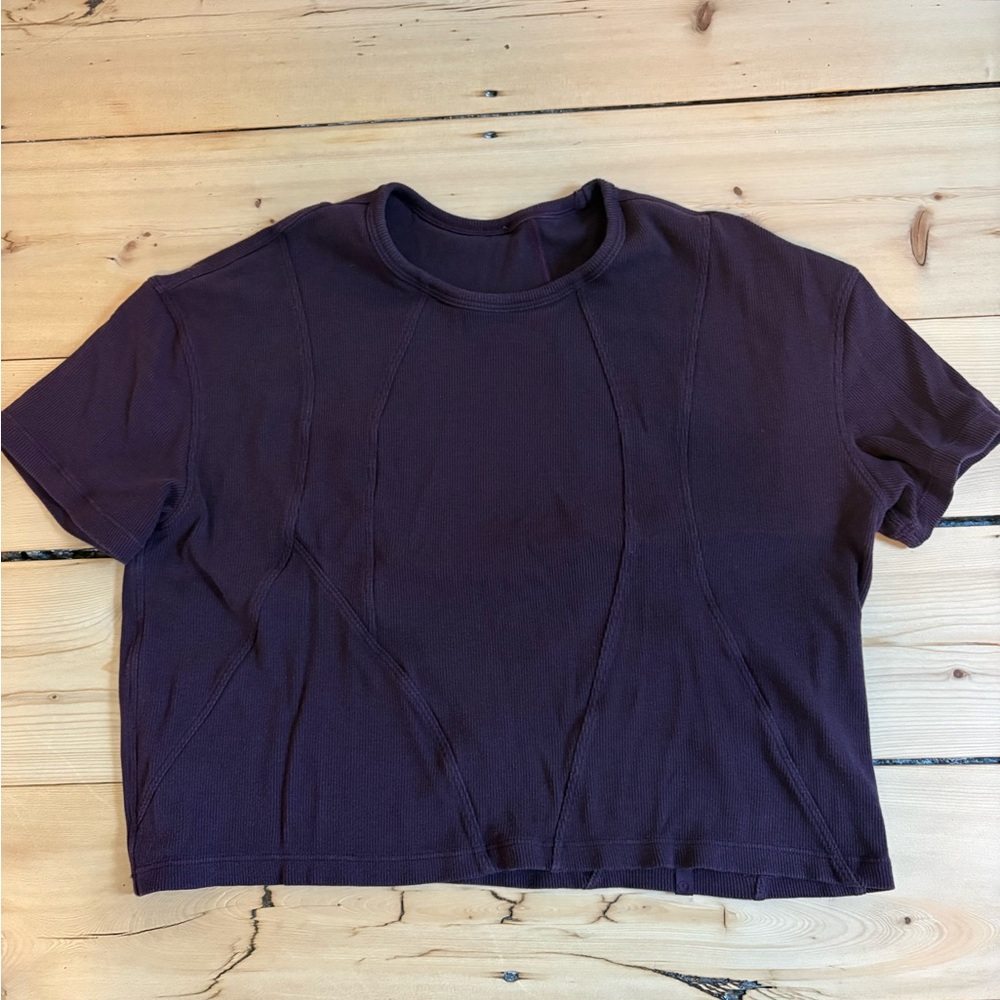 Cropped Crewneck Short Sleeve Top in Deep Plum
